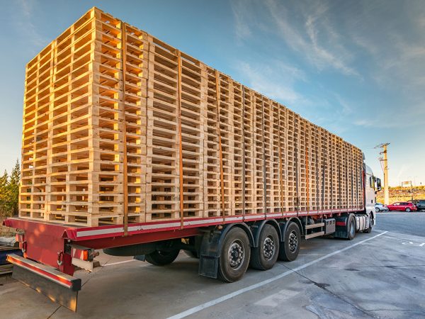 2500 Pallets at a wholesale price